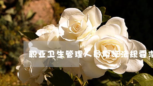 职业卫生管理人员取证法规要求 职业卫生管理人员取证法规要求