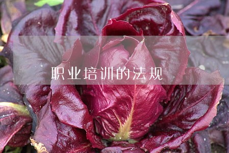职业培训的法规 职业培训的法规