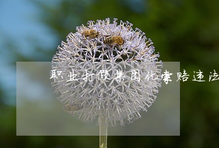 职业打假集团化索赔违法吗 职业打假集团化索赔违法吗
