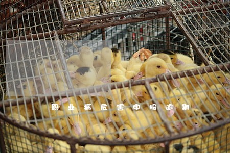 职业病危害申报逾期 职业病危害申报逾期