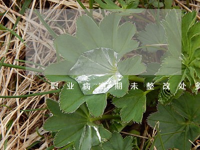 职业病逾期未整改处多少罚款 职业病逾期未整改处多少罚款