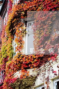职业病防治法逾期不改处罚金额 职业病防治法逾期不改处罚金额
