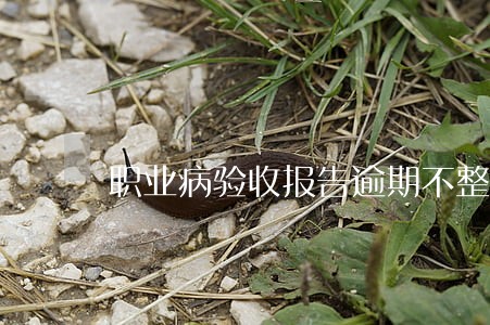 职业病验收报告逾期不整改 职业病验收报告逾期不整改
