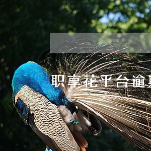 职享花平台逾期后果 职享花平台逾期后果