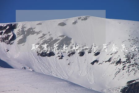 职享花逾期一个月会怎么样 职享花逾期一个月会怎么样