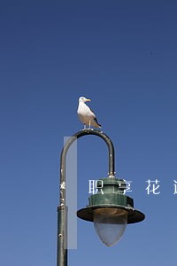 职享花逾期一直炸我通讯录 职享花逾期一直炸我通讯录