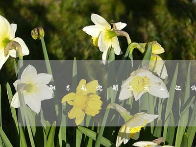 职享花逾期三天上征信吗 职享花逾期三天上征信吗