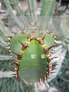 职享花逾期三天还能提现吗 职享花逾期三天还能提现吗