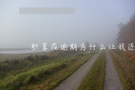 职享花逾期为什么让我还两万多 职享花逾期为什么让我还两万多