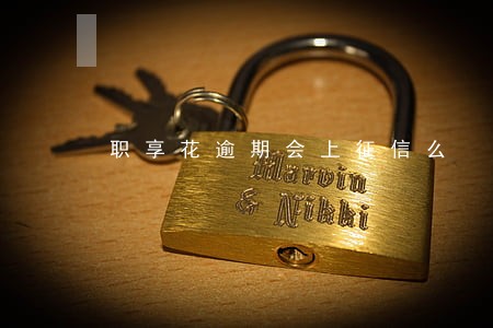 职享花逾期会上征信么 职享花逾期会上征信么