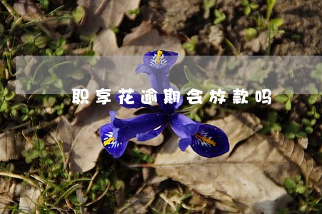 职享花逾期会放款吗 职享花逾期会放款吗