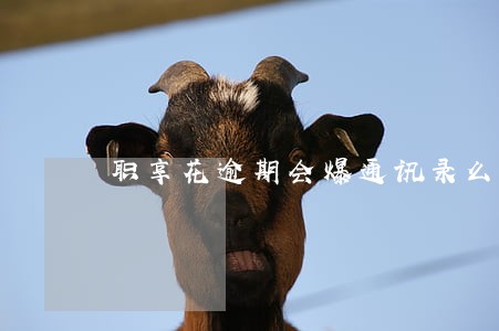 职享花逾期会爆通讯录么 职享花逾期会爆通讯录么