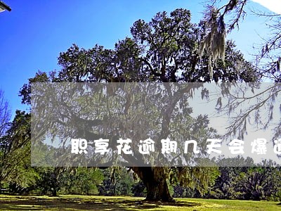 职享花逾期几天会爆通讯录 职享花逾期几天会爆通讯录