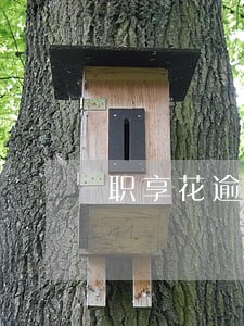 职享花逾期后果 职享花逾期后果