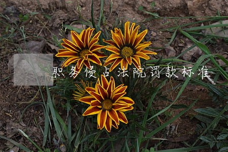 职务侵占法院罚款标准 职务侵占法院罚款标准