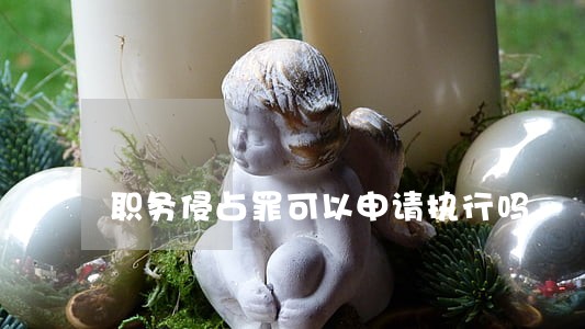 职务侵占罪可以申请执行吗 职务侵占罪可以申请执行吗