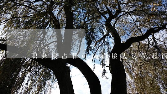 职务侵占罪可以直接去法院起诉吗 职务侵占罪可以直接去法院起诉吗