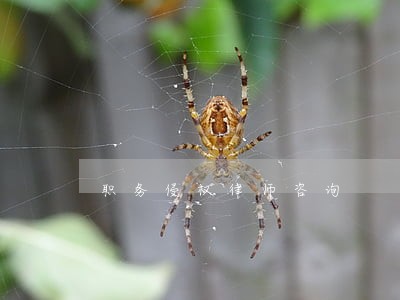 职务侵权律师咨询 职务侵权律师咨询