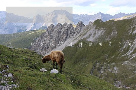 职务犯罪法律适用若干问题 职务犯罪法律适用若干问题
