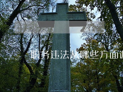 职务违法从哪些方面调查