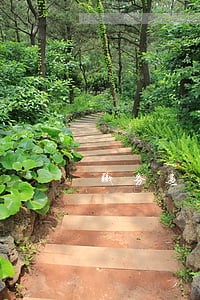 职务违法包括哪些 职务违法包括哪些