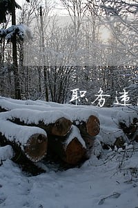 职务违法发生在原工作单位 职务违法发生在原工作单位