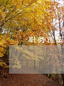 职务违法犯罪处罚 职务违法犯罪处罚