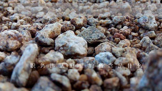 职务违法犯罪的概念是什么 职务违法犯罪的概念是什么
