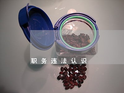 职务违法认识 职务违法认识