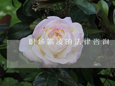 职场霸凌的法律咨询 职场霸凌的法律咨询