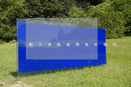 职工保险逾期能补缴吗 职工保险逾期能补缴吗