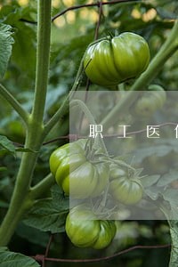 职工医保逾期一年 职工医保逾期一年