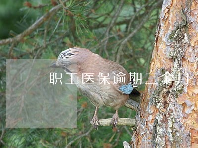 职工医保逾期三个月了 职工医保逾期三个月了