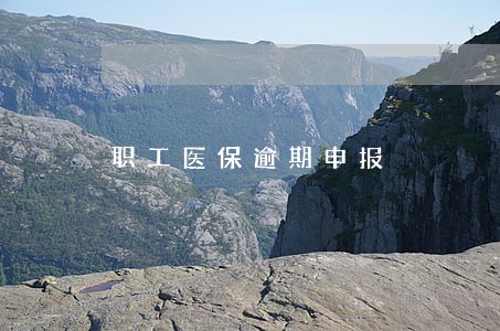 职工医保逾期申报 职工医保逾期申报