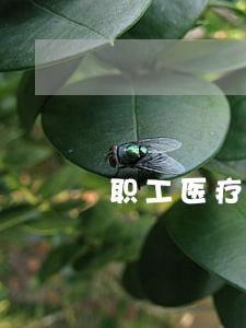 职工医疗保险逾期续交 职工医疗保险逾期续交
