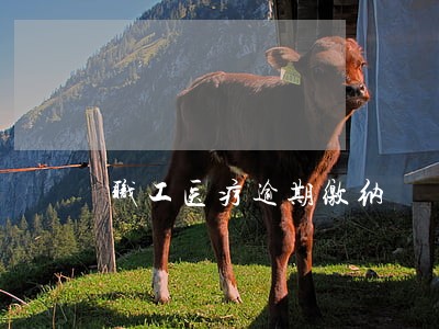 职工医疗逾期缴纳 职工医疗逾期缴纳