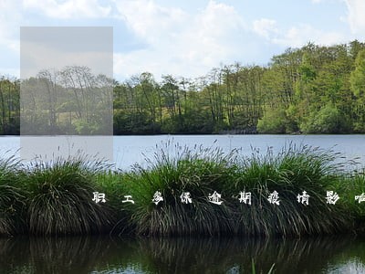 职工参保逾期疫情影响 职工参保逾期疫情影响