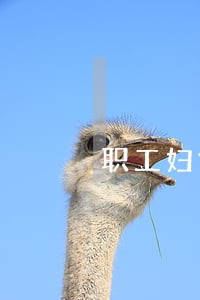 职工妇女劳动合同法 职工妇女劳动合同法