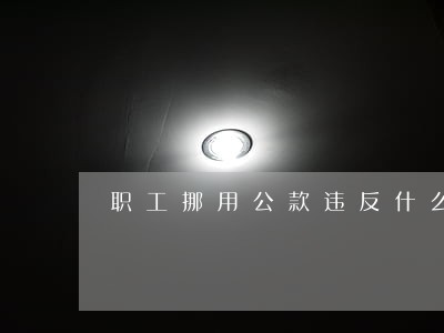 职工挪用公款违反什么财经法规 职工挪用公款违反什么财经法规