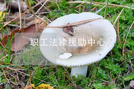 职工法律援助中心 职工法律援助中心