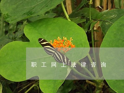 职工网上法律咨询 职工网上法律咨询