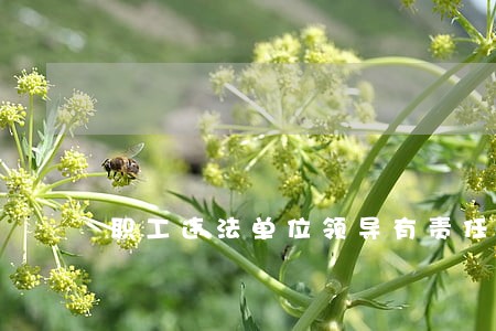 职工违法单位领导有责任吗 职工违法单位领导有责任吗