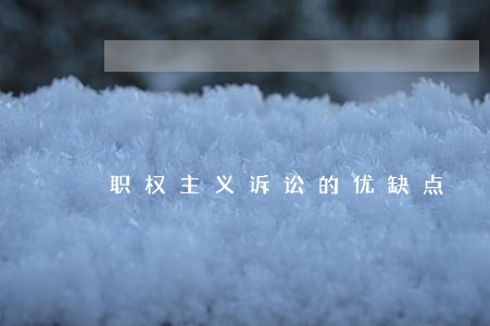 职权主义诉讼的优缺点 职权主义诉讼的优缺点
