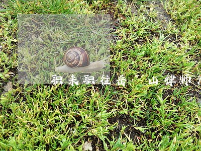 职来职往岳屾山律师为什么哭