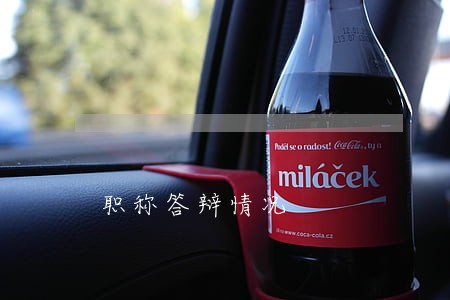 职称答辩情况 职称答辩情况