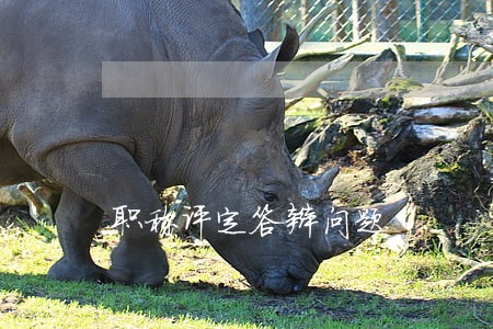 职称评定答辩问题