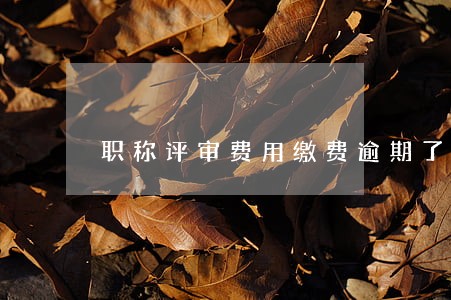 职称评审费用缴费逾期了 职称评审费用缴费逾期了