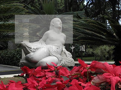 职问法律中国