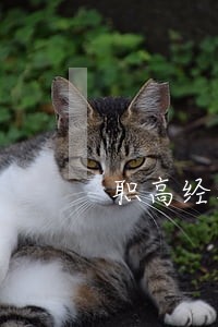 职高经济法一二章测试卷