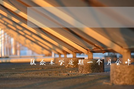 联众车贷逾期一个月会咋样 联众车贷逾期一个月会咋样